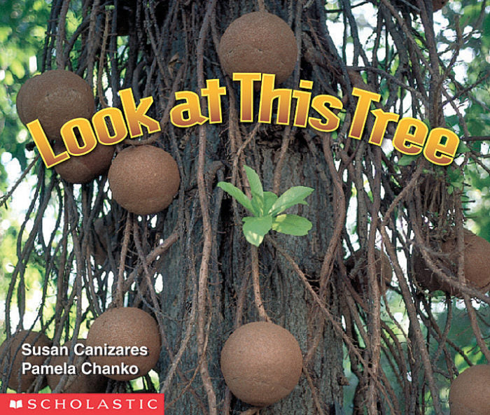 Look At This Tree  (Science Emergent Readers)  by Susan Canizares and Pamela Chanko (Paperback) Used