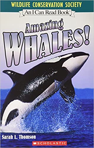 Amazing Whales! by Sara L. Thomson ( Paperback) Used  ISBN 9780439866668