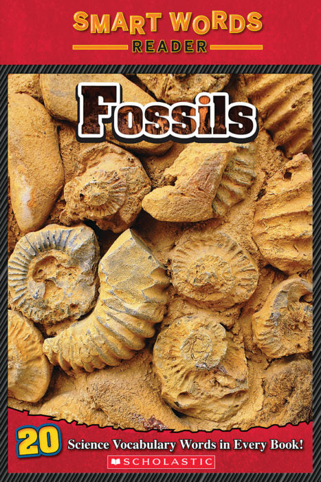 Fossils Paperback Used