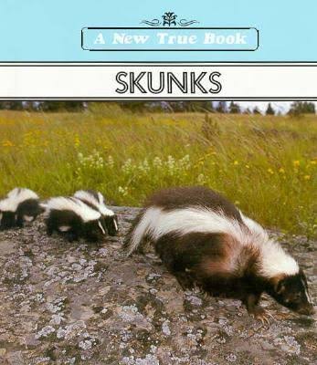 Skunks Paperback Used