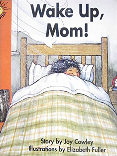 Wake Up, Mom! (Sunshine Books) Paperback Used